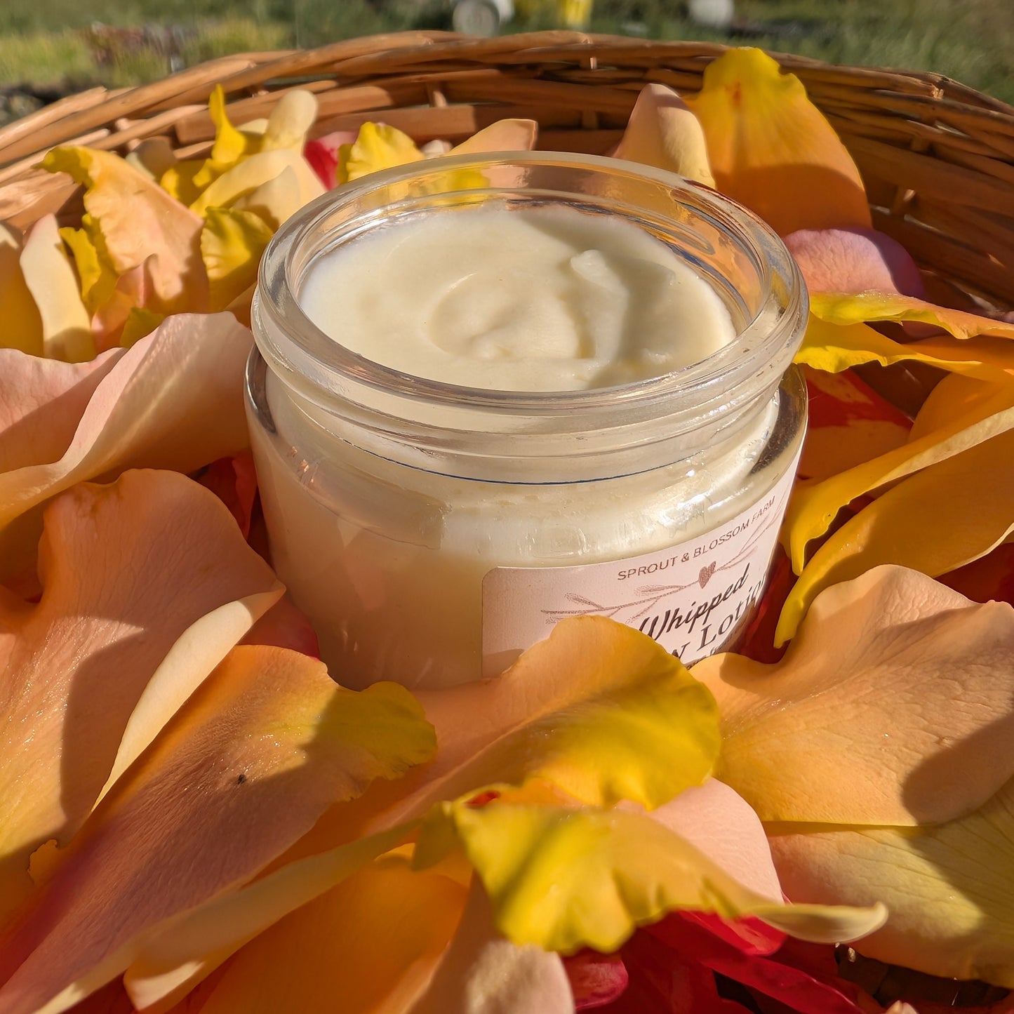 Whipped Tallow Lotion, 2oz Jar