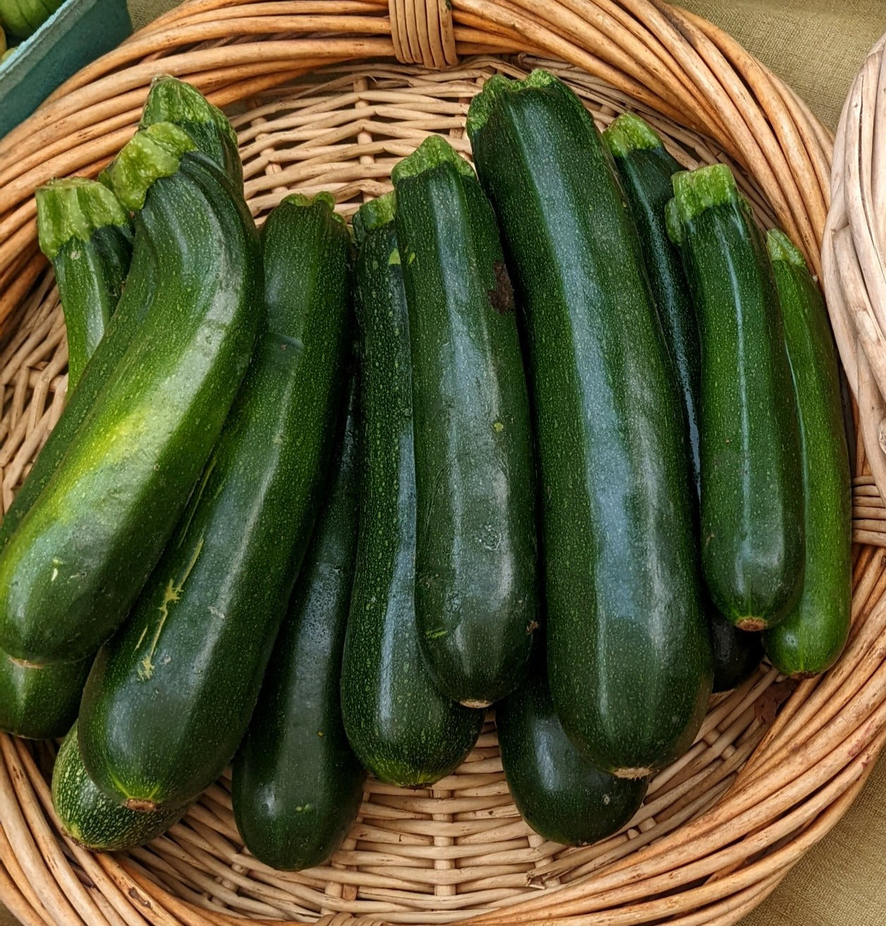 Zucchini image 0