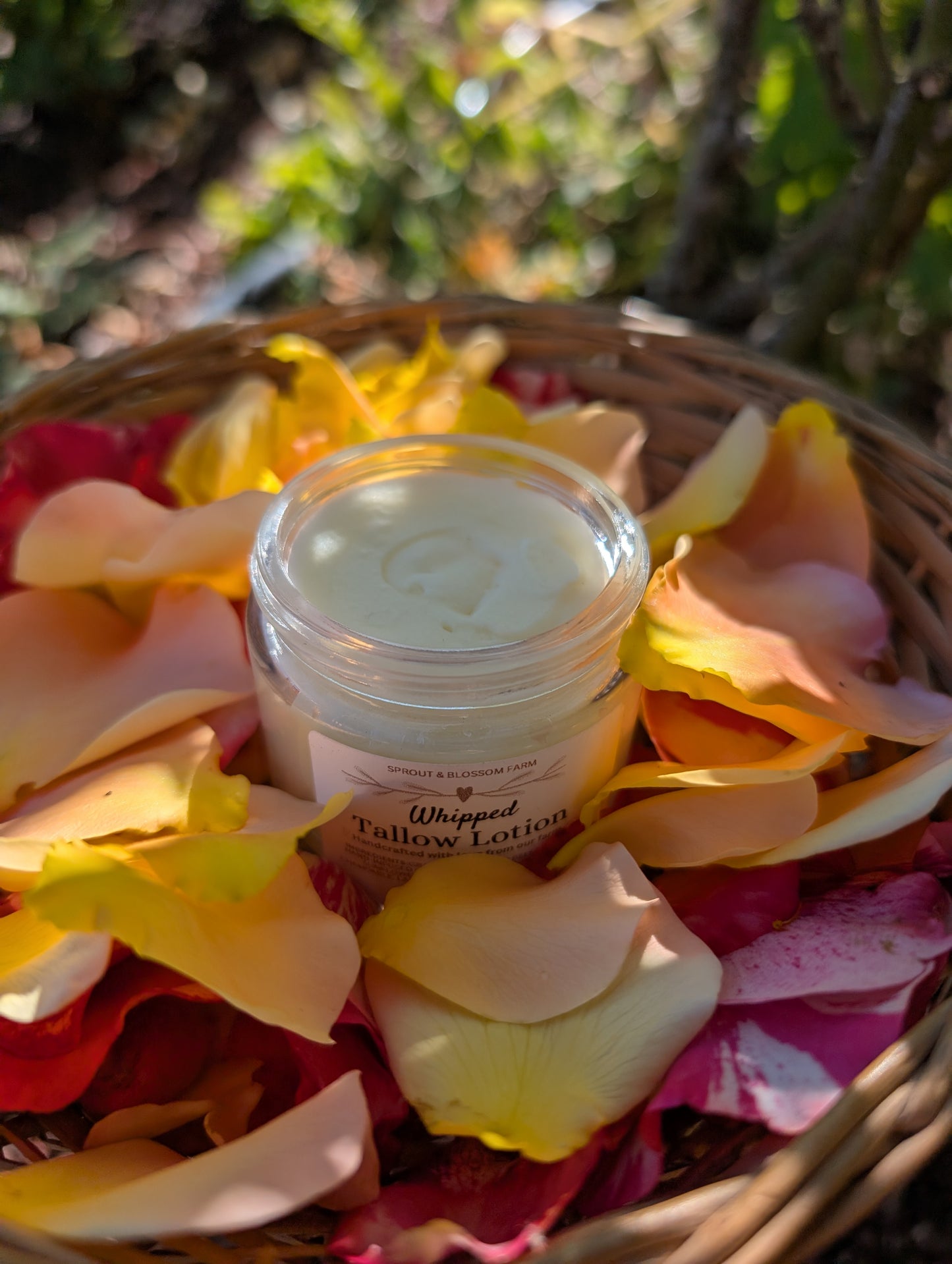 Whipped Tallow Lotion, 4oz Jar
