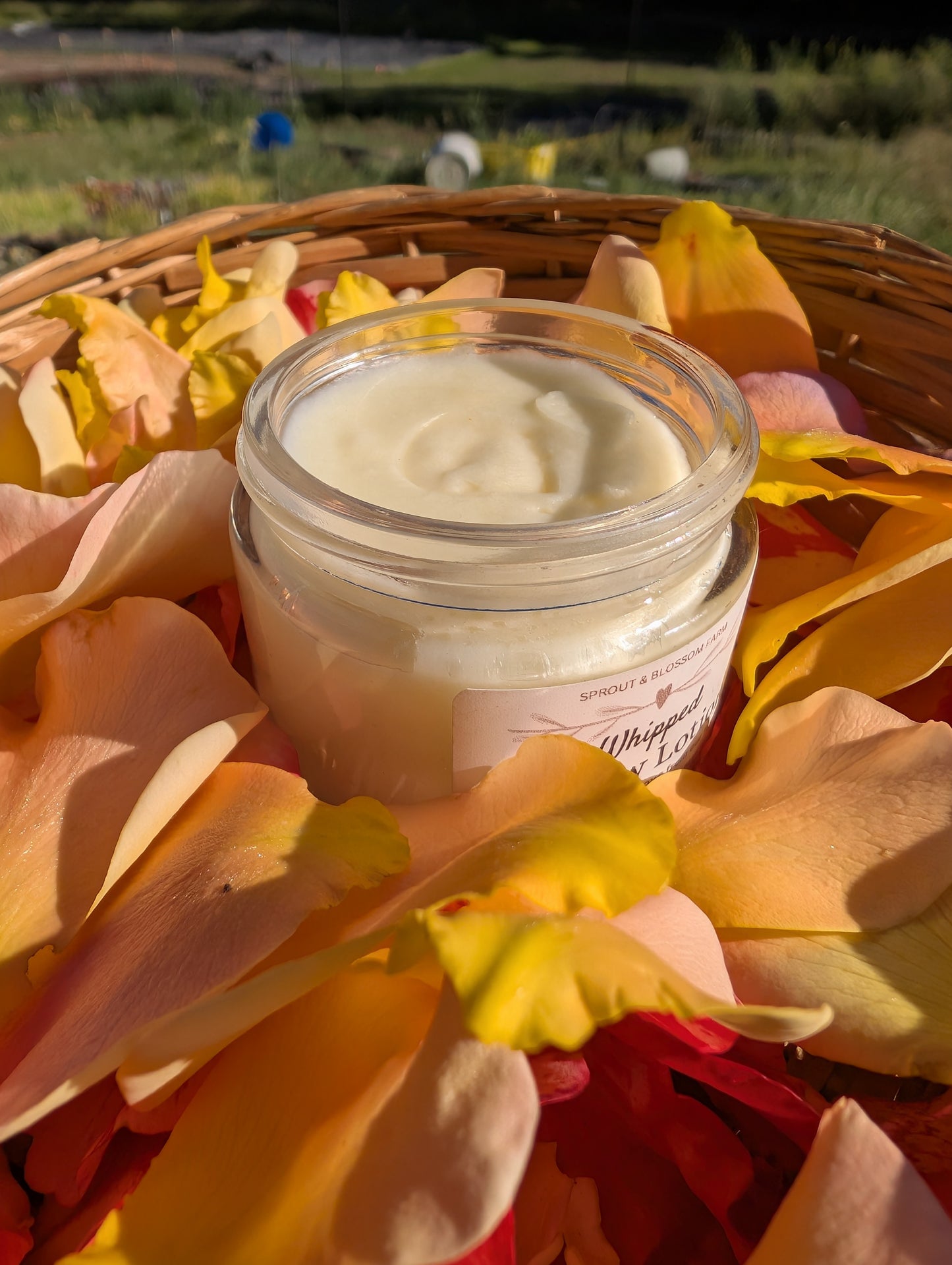 Whipped Tallow Lotion, 4oz Jar