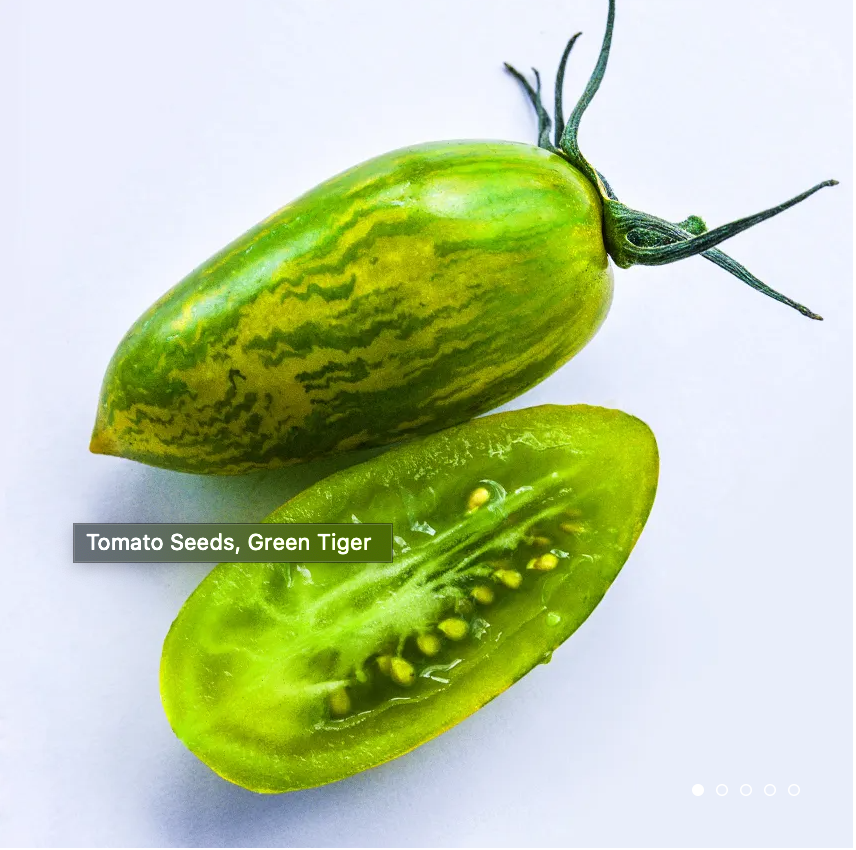 Tomato Plant "Green Tiger" Cherry/Plum 4" Pot image 1
